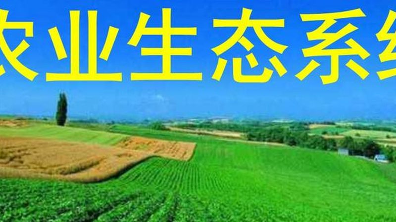 民宿定制设计公司哪家靠谱