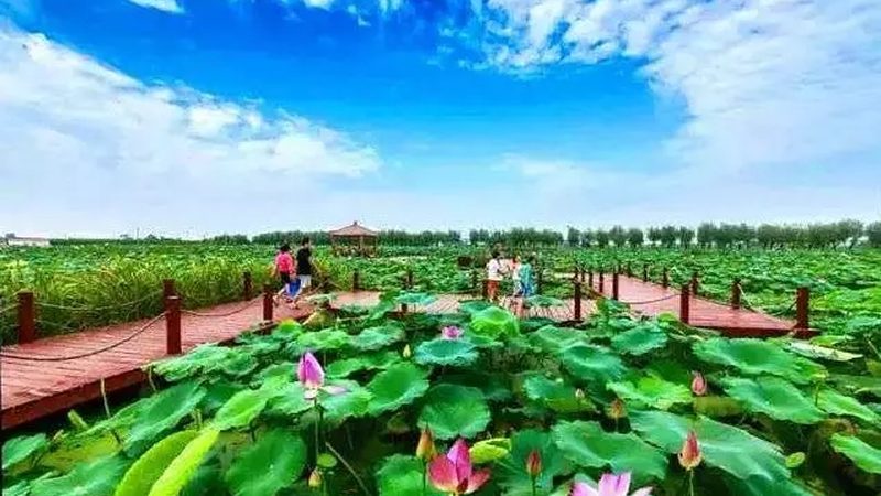 休闲农业项目加盟：如何选择与避坑指南