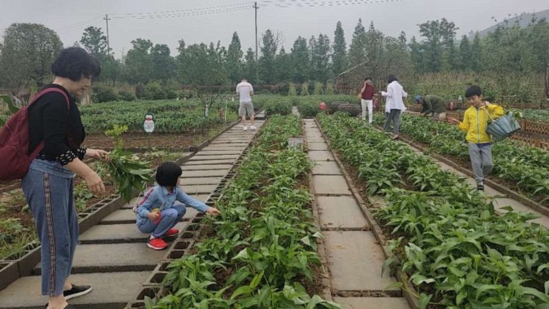 休闲观光农业产业园加盟，如何找到适合自己的模式？**