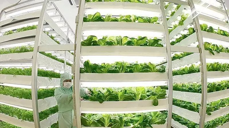 家庭农场种植规划方案