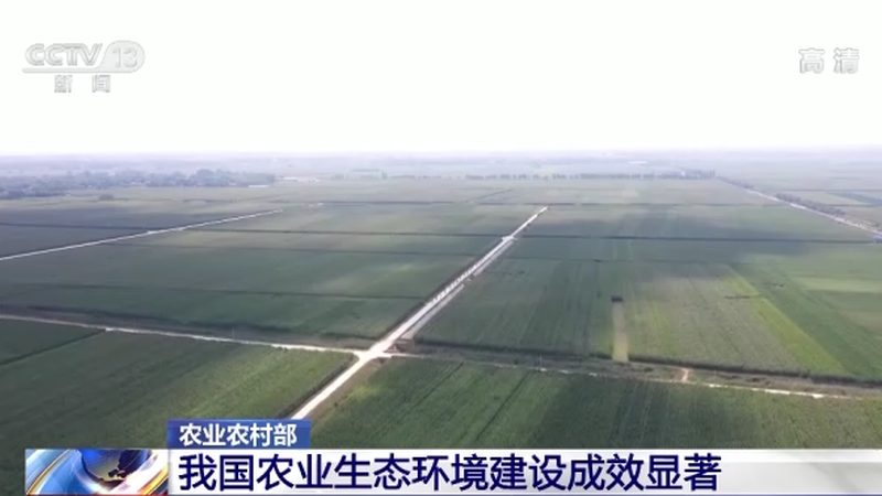 农资电商平台崛起：如何挑选十大品牌**