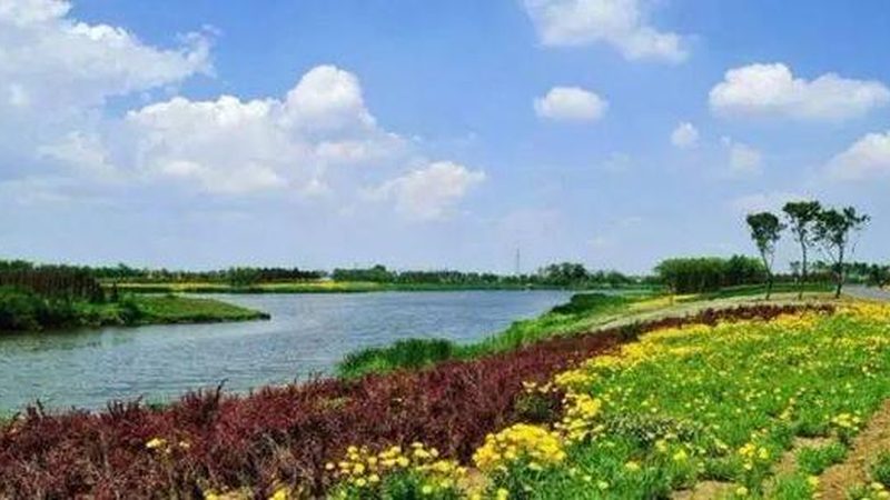 广东生态农业补贴申请，流程详解助您轻松上手