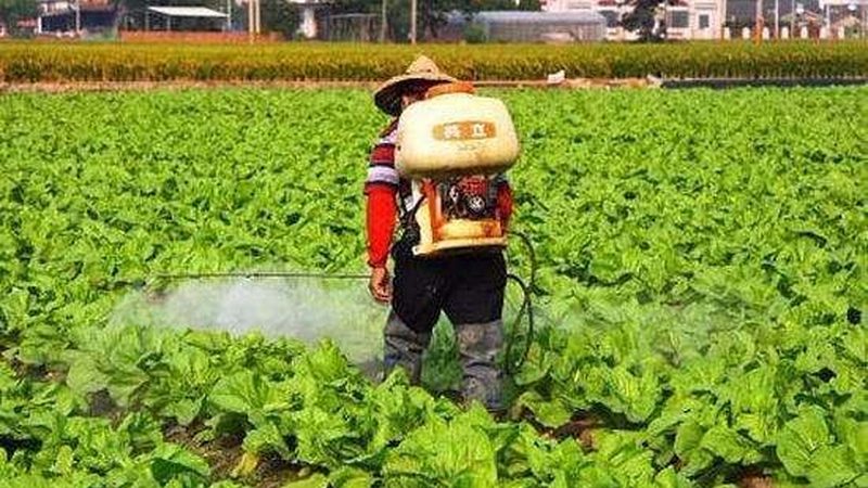 农产品配送系统的定制成本主要包括以下几个方面：