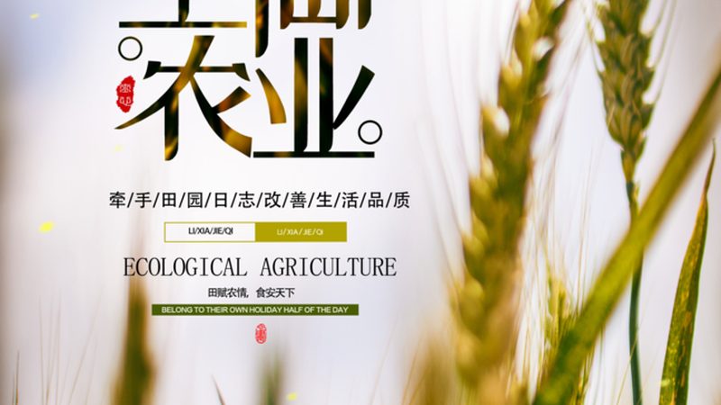采摘园选址：政策要求与关键因素解析**